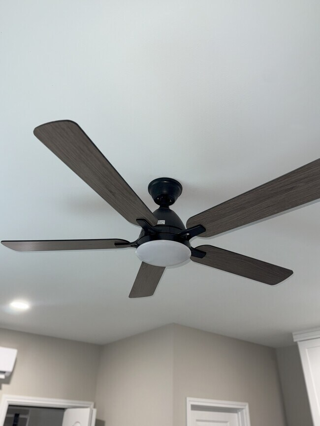 Ceiling Fan