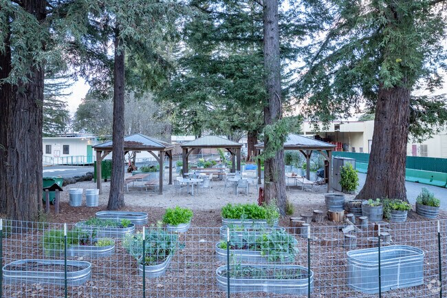 The garden at The Healdsburg School is a popular feature.