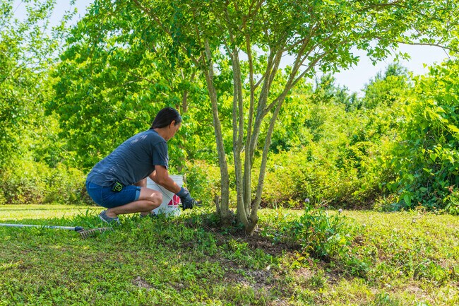 Galliano residents take pride in maintaining their gardens and trees in front and back yards.