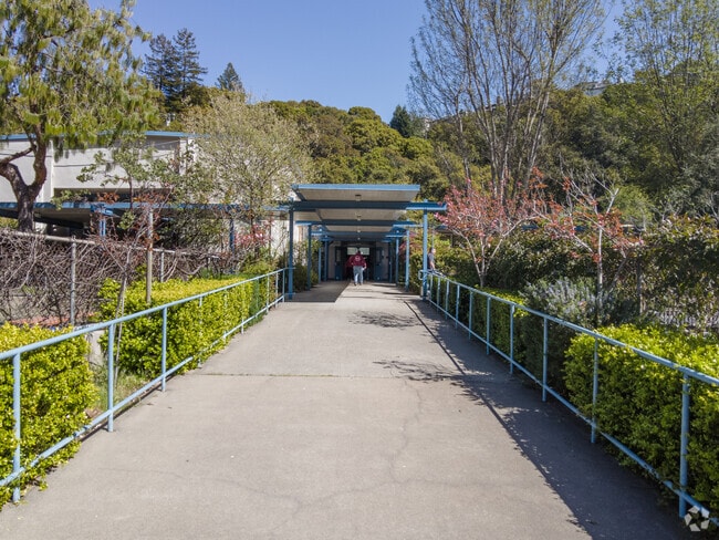 Thornhill Elementary is a great option for your child.