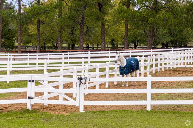 Argyle has a riding academy for children and the Double L Horse Camp.