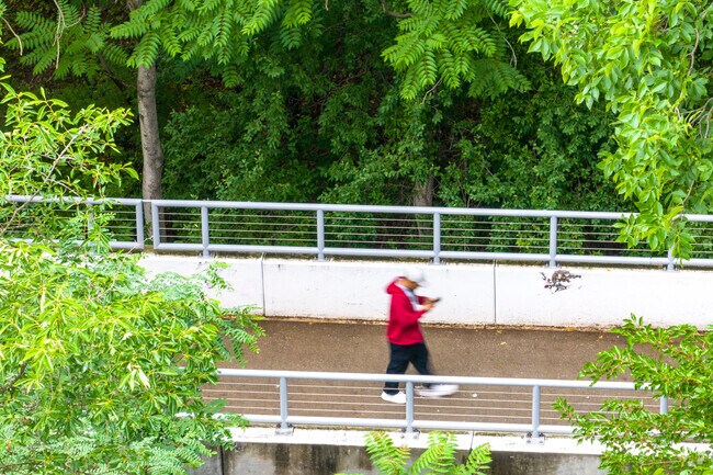 A stroll across the pedestrian bridge in Oakland Mills.