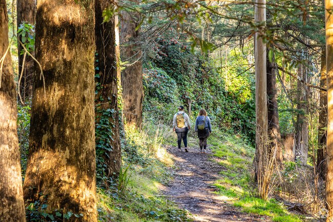 Hikers along the Fairy Gates Trail near Clarendon Heights.