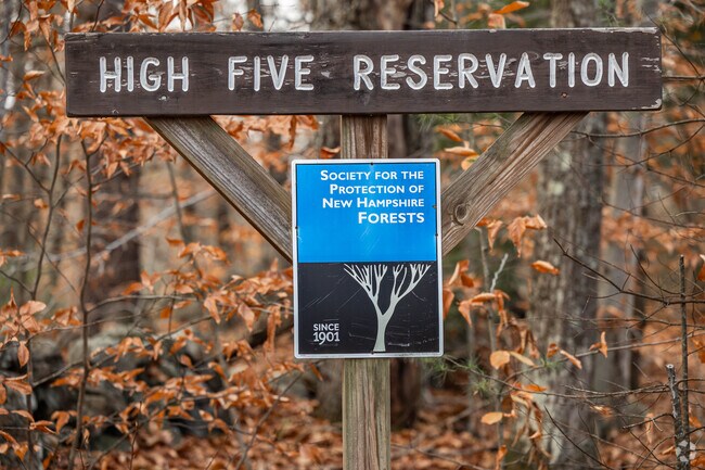 High Five Reservation is a great place to Hike in Deering.