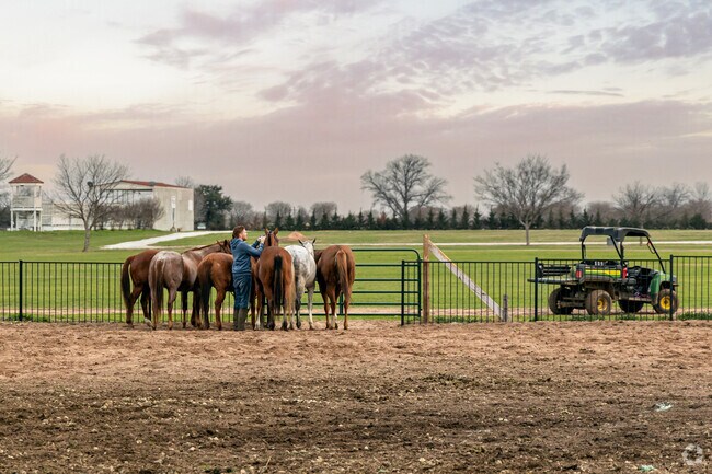 In Oak Point, horses embody the spirit of freedom, galloping with unbridled enthusiasm.