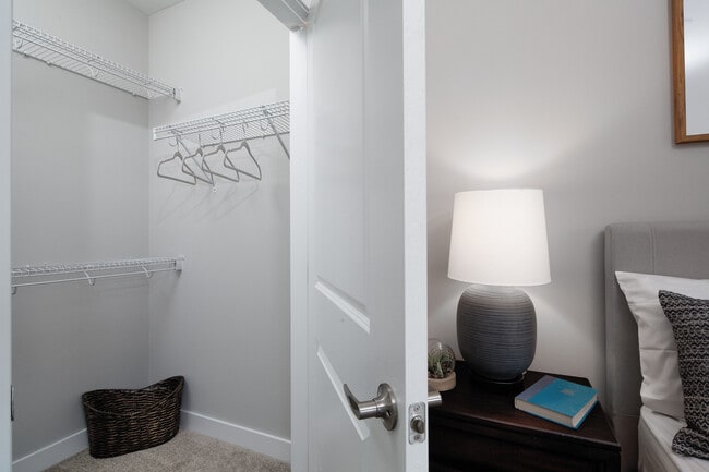 Bedroom with walk-in closet