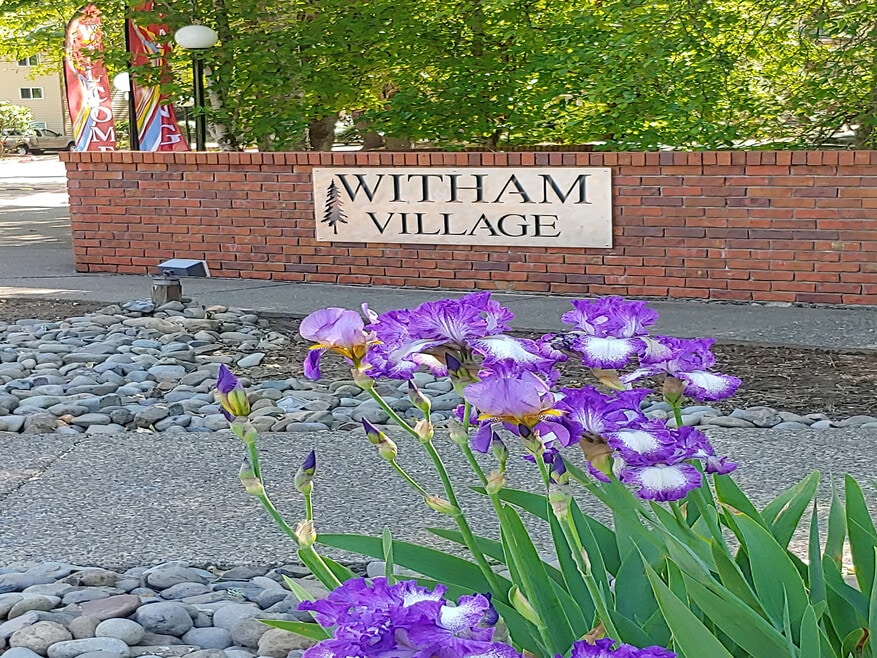 Witham Village