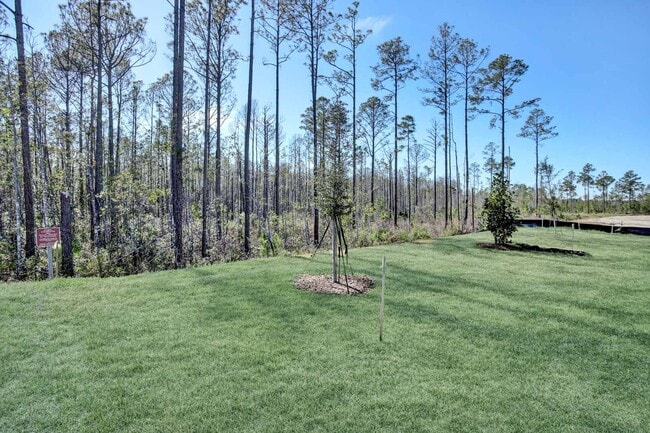 3 Ellaville Dr unit 36454497, Palm Coast, FL 32137 - photo 5