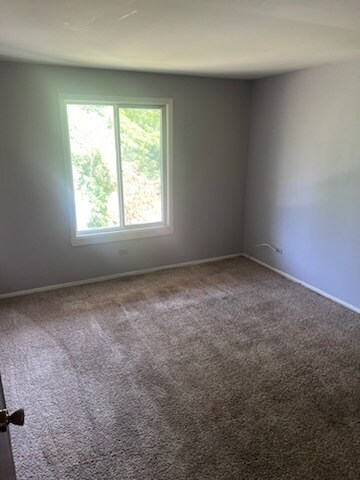 642 Melrose Ln unit 3, Beecher, IL 60401 - photo 7