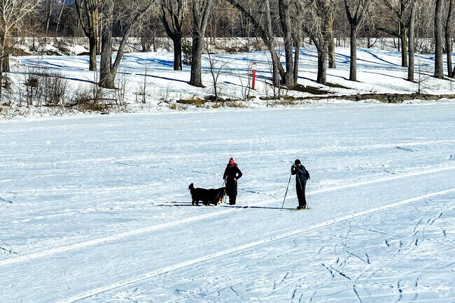 Bde Maka Ska offers a scenic skiing and walking destination in winter.
