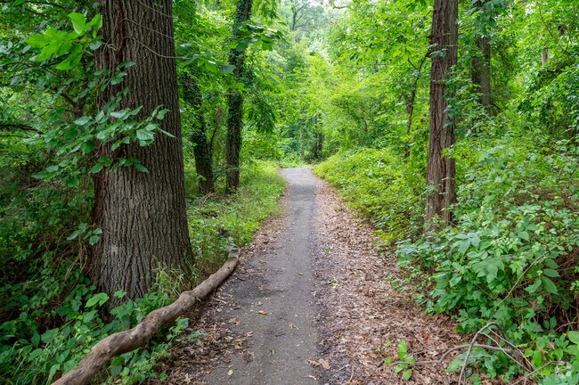 Fort Mahan Park near Benning has heavily forested trails to walk along.