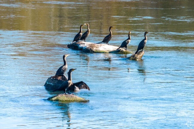 Locals can take in the wildlife at the Catawba River, only minutes from Baxter Village.