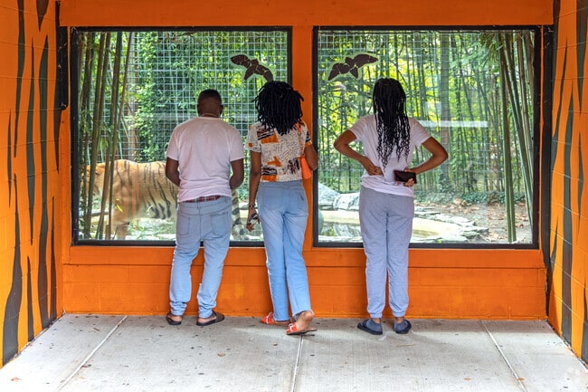 Visit the Cohanzick Zoo in Bridgeton & watch the tigers.