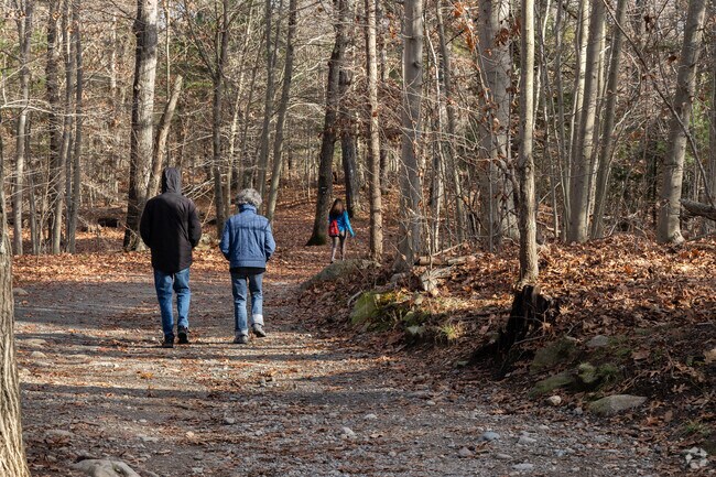 Residents enjoy walking the many trails in Borderland State Park in Easton.
