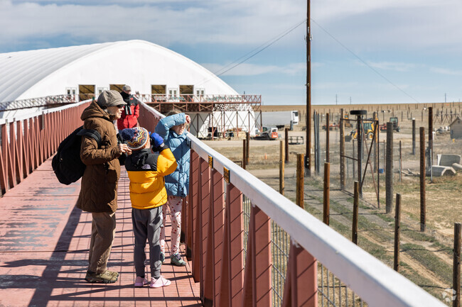 The whole family can have fun watching the wild animals at The Wild Animal Sanctuary.