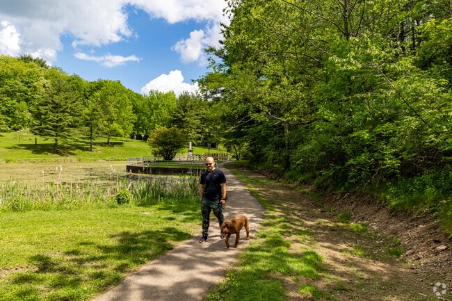Walk around the lakes with your best friend at Deer Lakes Park near Frazer Township.