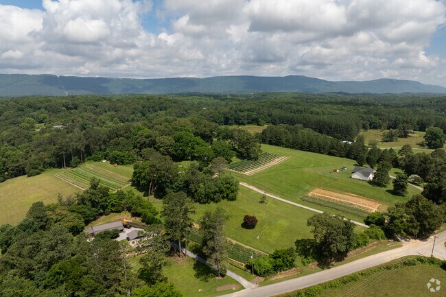 Most of the homes in the neighborhood of Kensington are on large plots of land and are used for farming and livestock.