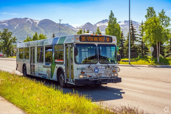 Residents can use the Tudor and Northern Lights bus routes to get around town.