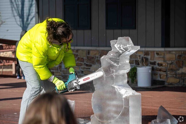 People enjoy the Fire & Ice Winter Social in Frankfort, IL near the Arbury Hills area.