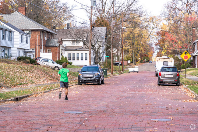 A man runs down one of the many brick-paved streets in the Vassar Park neighborhood.