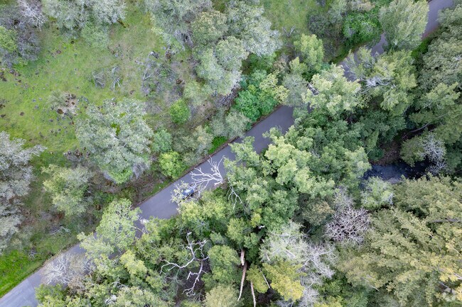 Get lost from Bennett Valley at Trione-Annadel State Park with hiking and biking opportunities.