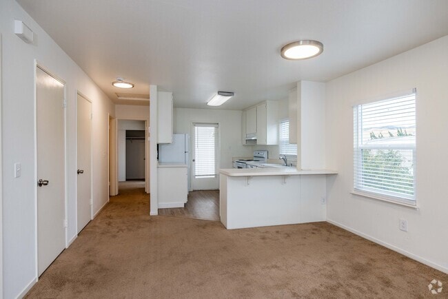 1BR, 1BA -1,200SF - Kitchen