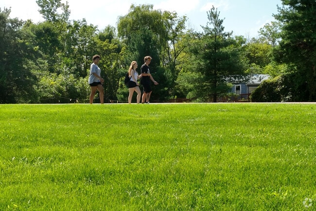 A group of young people walking in Hamlin.