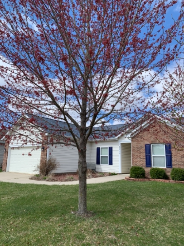 3730 Tesla Dr, West Lafayette, IN 47906