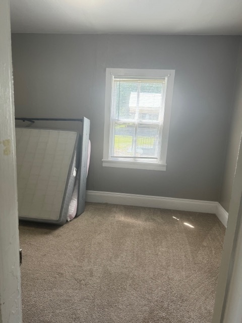Lower Level Bedroom 2