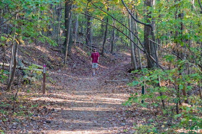 Chicopee Village residents can take nature walks through Chicopee Woods Park.