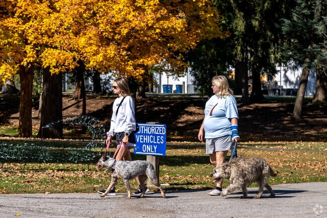 Bring your pup for a long walk through natural surroundings at Matter Park.