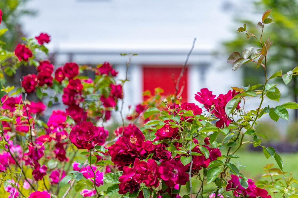 NH_MILFORD_547438_043024_P2_JNS_EDIT V1