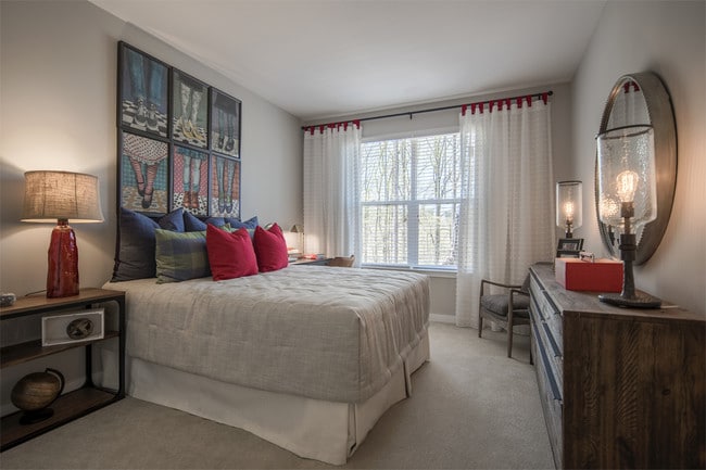 The Vine, Laurel, MD 20723 - photo 3