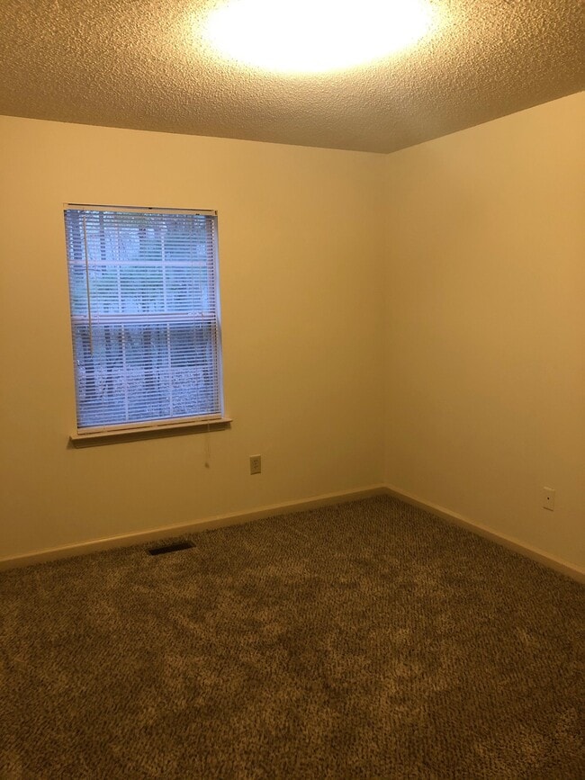 The Homestead, Jasper, GA 30143 - photo 2