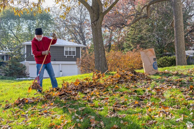 A resident raking leaves in the Interlachen Park neighborhood of Edina.