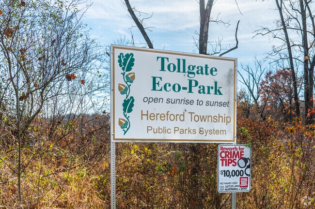 Head to Eco Park in Hereford and relax under the trees.