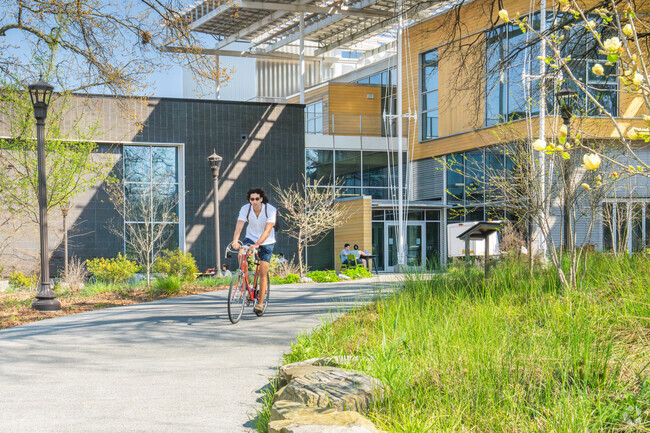 There are many paths in Georgie Tech suitable for bike riding.