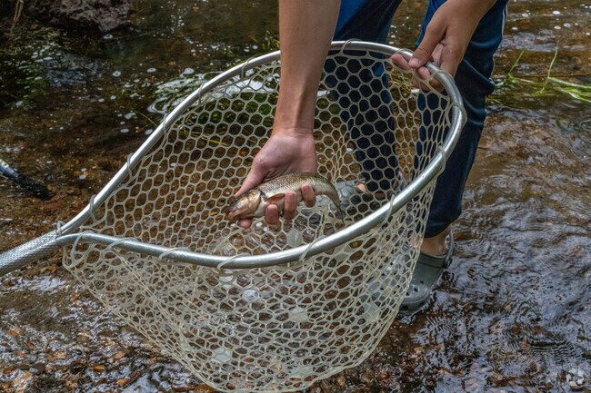 Utley Park is a great local spot to fish Minnehaha Creek.