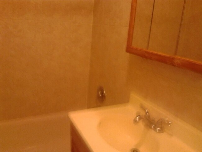 10414 Michael Todd Terrace unit GN, Glenview, IL 60025 - photo 6