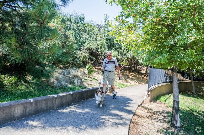 Scenic Park is an excellent place to walk your dog in Ashland.