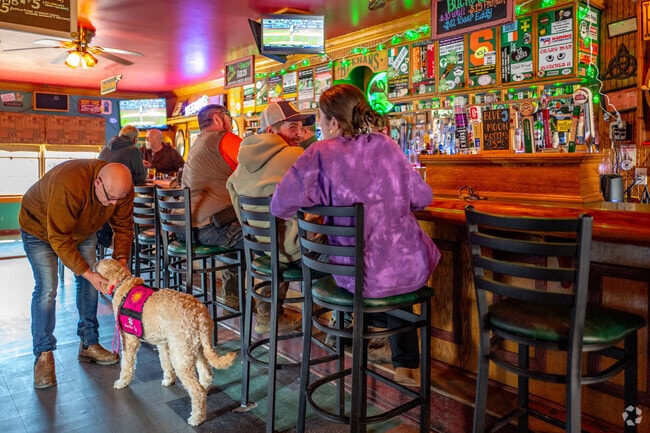 Heenan's Irish Pub near Gerry is known for having 16 beers on tap.