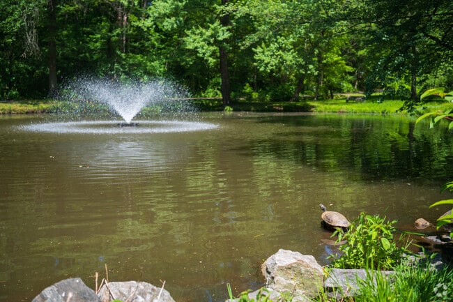 Wyncote's Curtis Arboretum offers rolling hills, open fields and ponds full of turtles.