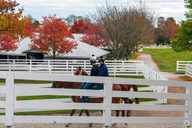 Beautiful landscape and trails for jockeys and horses can be enjoyed at Keeneland in Versailles.