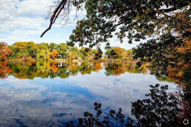 Trees seem to dance along the water's edge at Sand Pond Wetland.