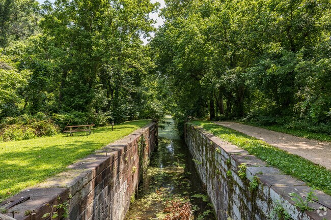 Unwind in Cabin John's oasis, Chesapeake & Ohio Canal. Picturesque escape for nature lovers.