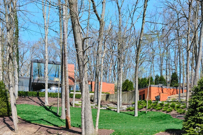 Throughout Barton Hills, ultra-modern homes perch on the edges of hills and the river.