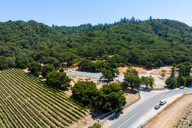 Shiloh Ranch Park in Larkfield-Wikiup boasts over 850 acres for forested hills to explore.