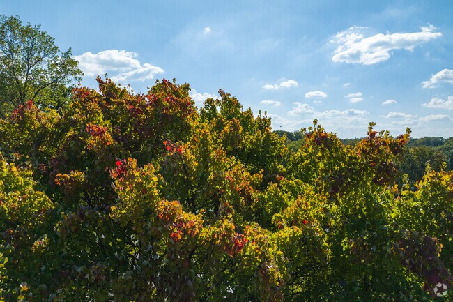 Enjoy the beautiful plant life that Brooklyn Park has.
