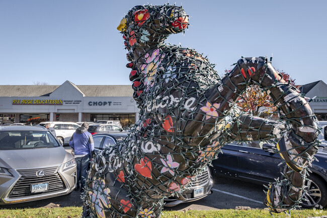 Find everything you need at the High Ridge Shopping Center