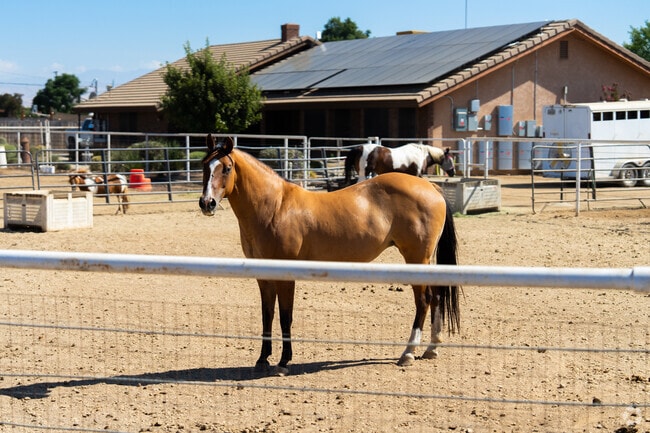 Horses can be seen in the yards of some larger properties in Strathmore.